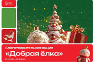 /news/aktsiya-dobraya-elka/